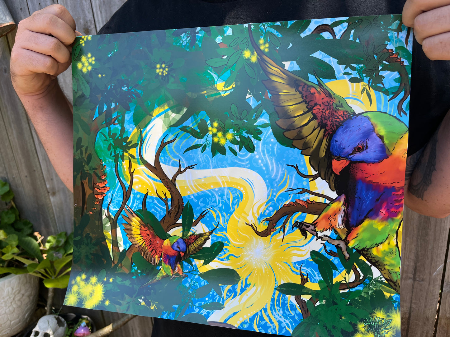 Rainbows of the Goldcoast Poster