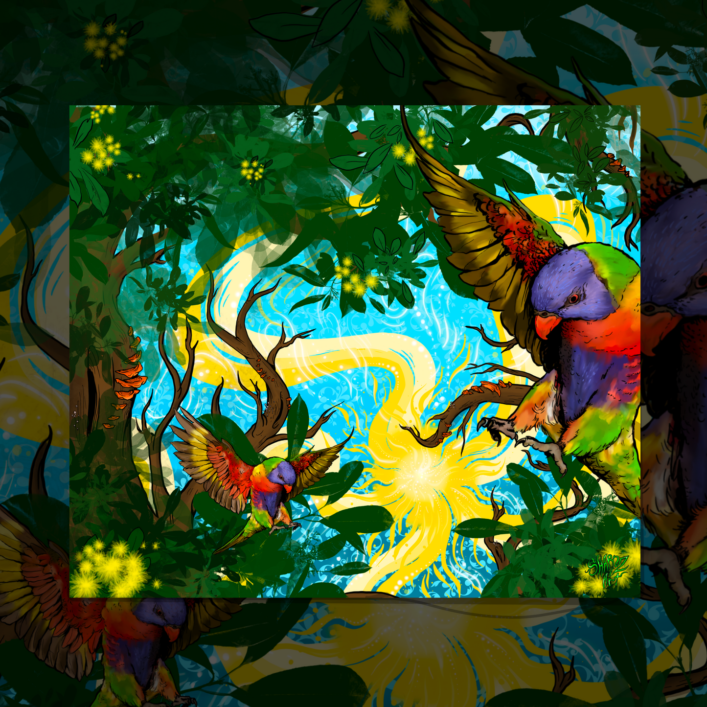 Rainbows of the Goldcoast Poster